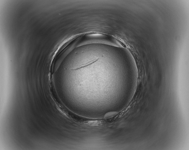 X0000087550050200704271215