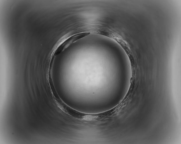 X0000087550051200704271215