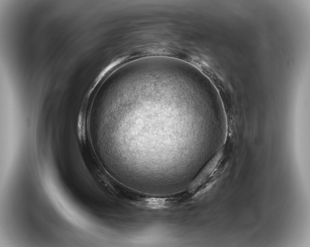 X0000087550052200704271215