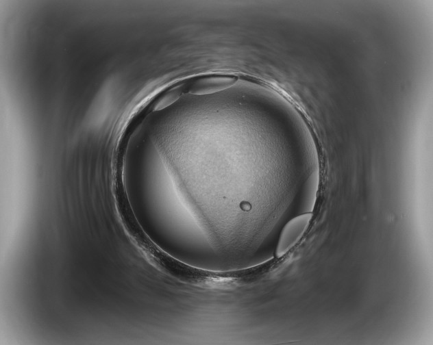 X0000087550055200704271215