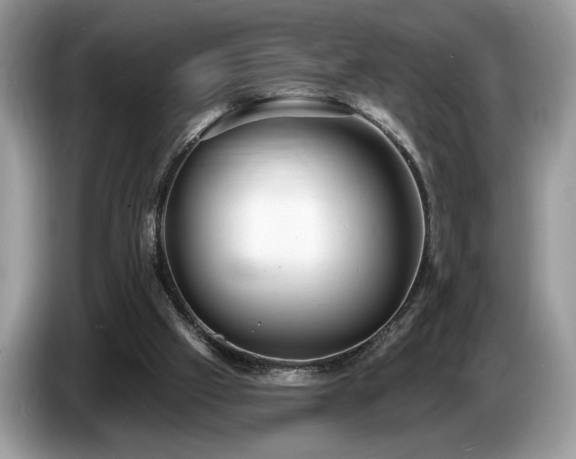 X0000087550057200704271215