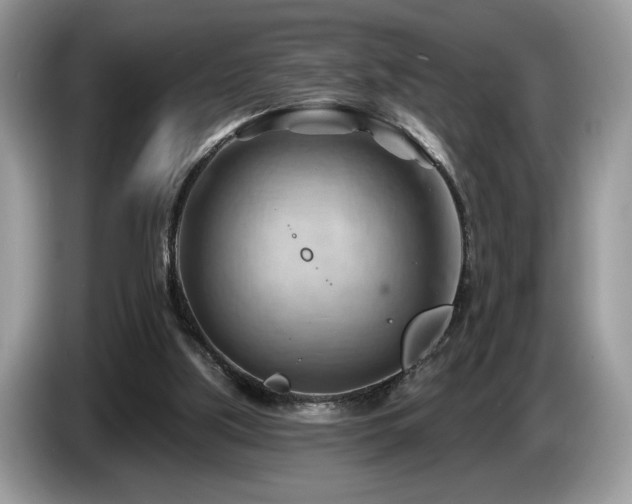 X0000087550059200704271215