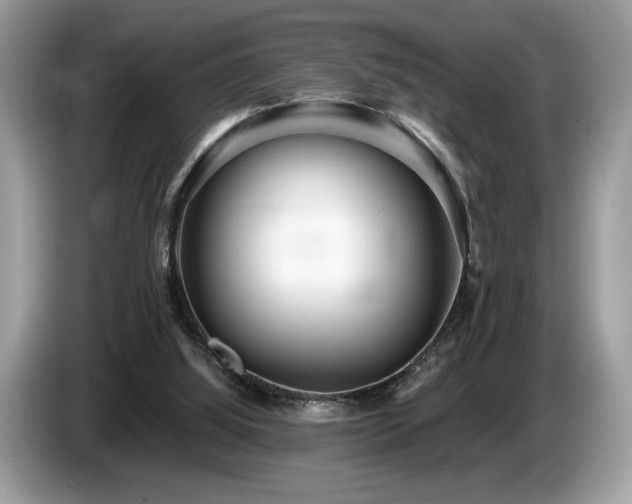 X0000087550060200704271215