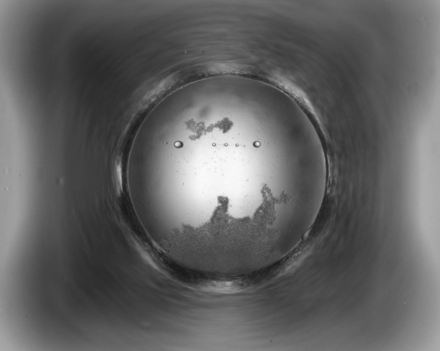 X0000087550061200704271215