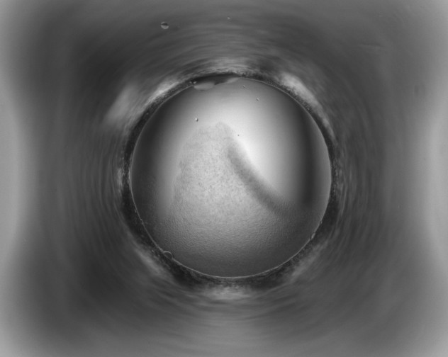 X0000087550063200704271215