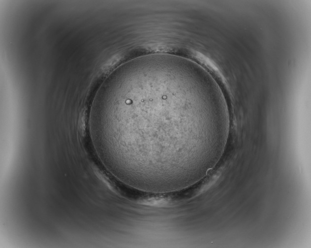 X0000087550065200704271216