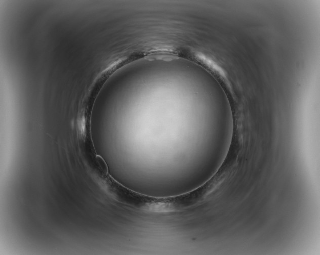 X0000087550067200704271216