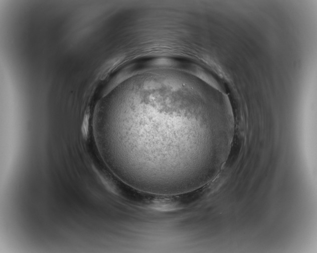 X0000087550070200704271216