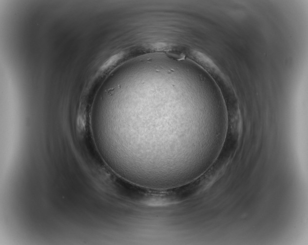 X0000087550072200704271216