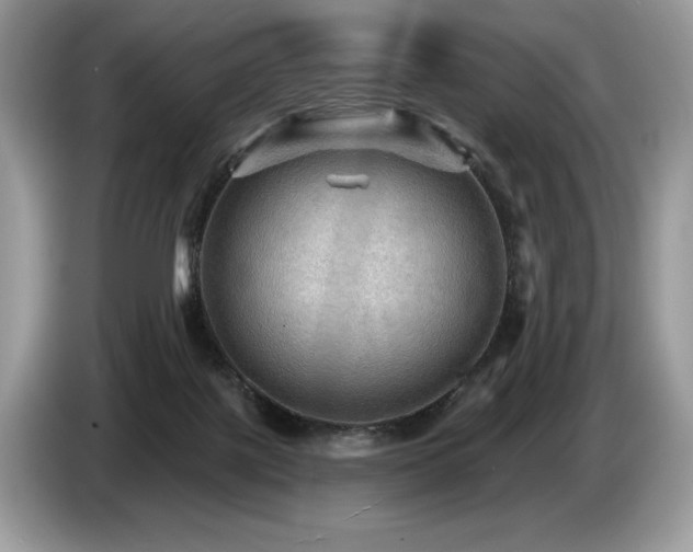 X0000087550075200704271216