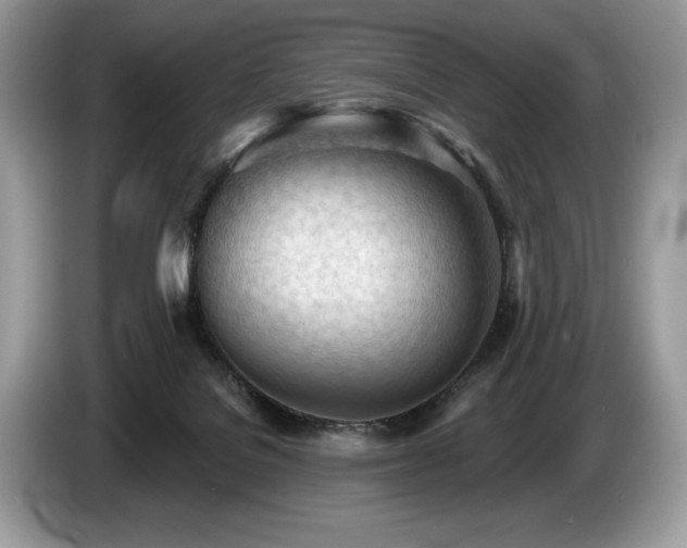 X0000087550076200704271216