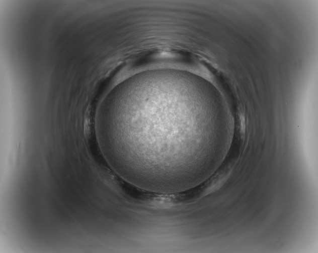 X0000087550080200704271216