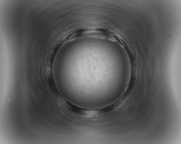 X0000087550085200704271216