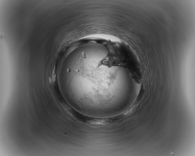 X0000087550086200704271216