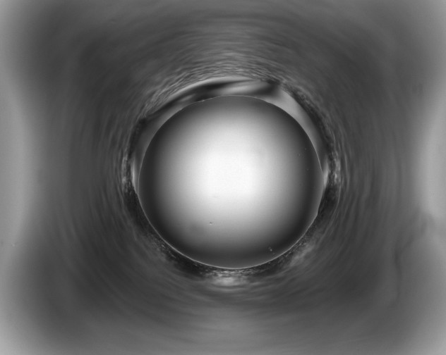 X0000087550088200704271216