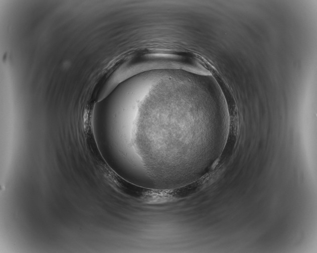 X0000087550093200704271216