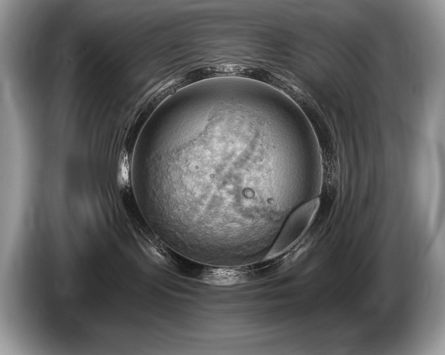 X0000087550095200704271216