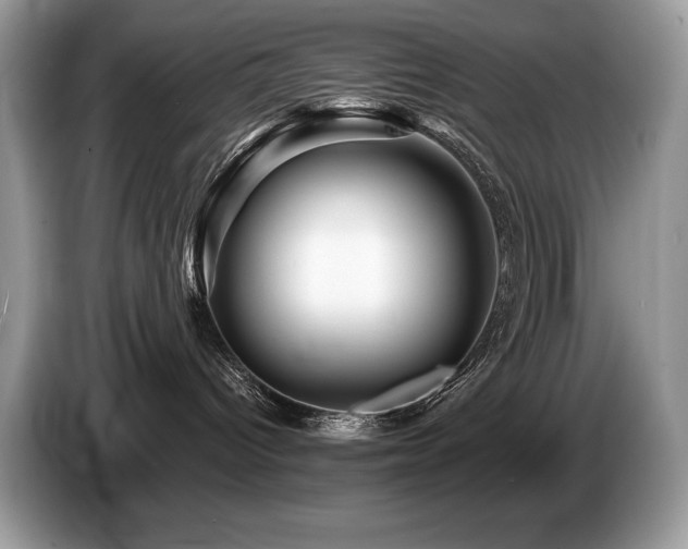 X0000087550096200704271216