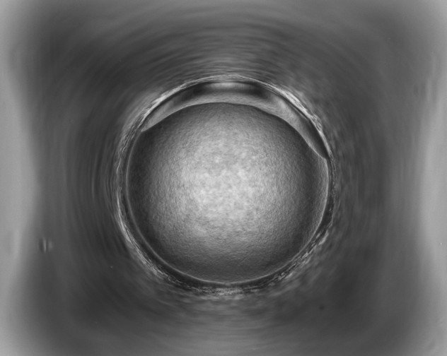 X0000087550097200704271215