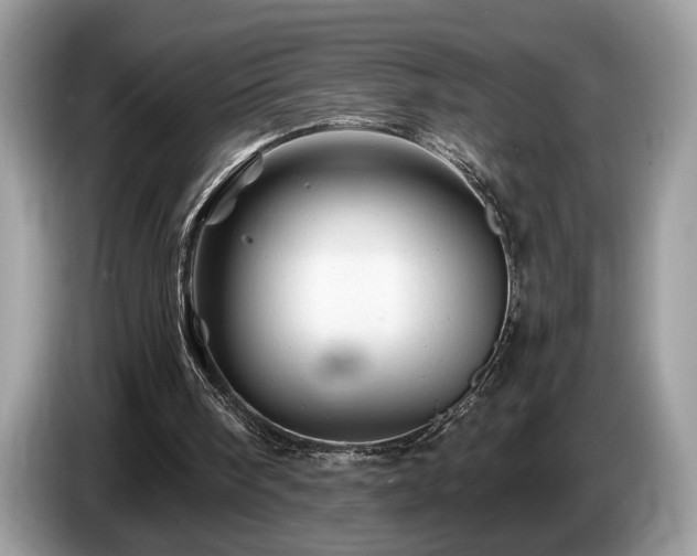 X0000087550098200704271215