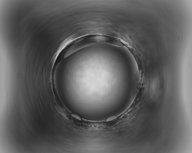 X0000087550099200704271215