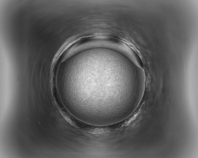 X0000087550101200704271215