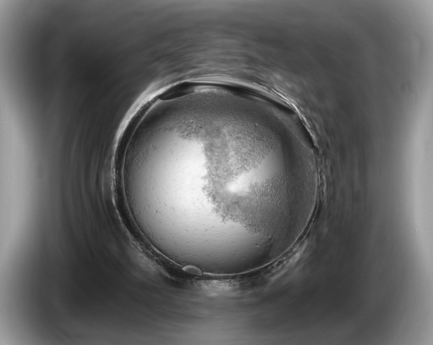 X0000087550102200704271215