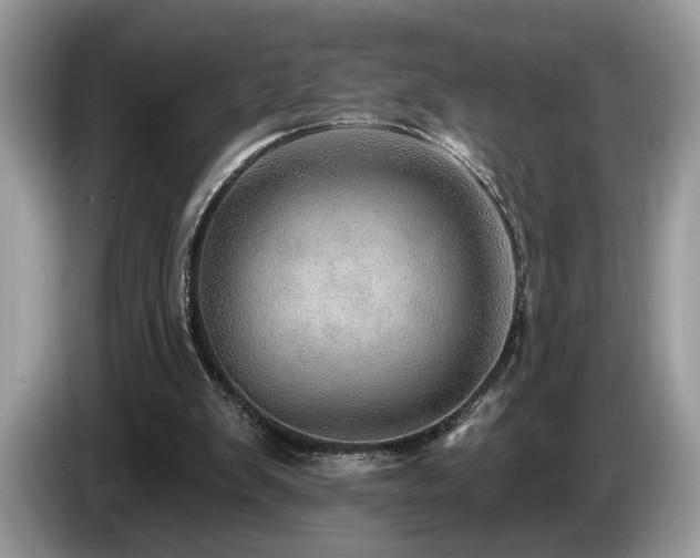 X0000087550103200704271215