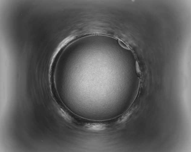 X0000087550104200704271215