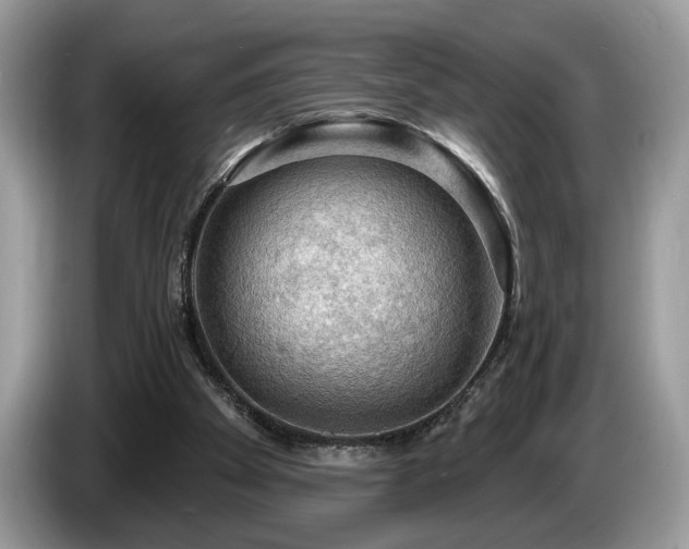 X0000087550105200704271215