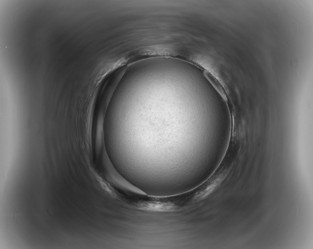 X0000087550109200704271215