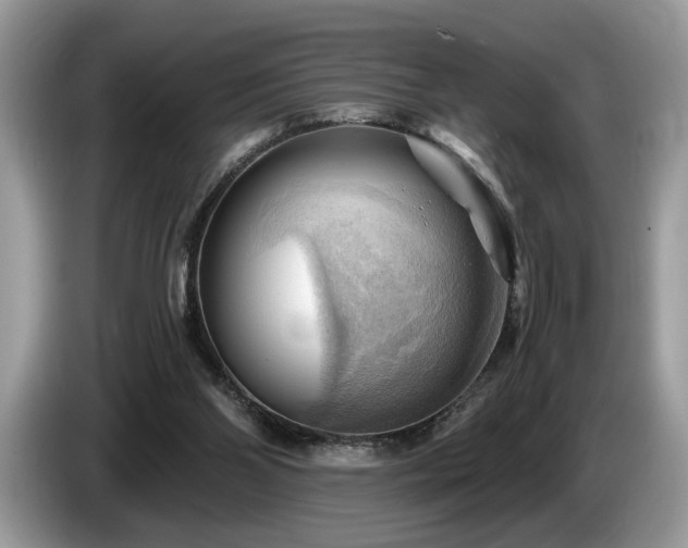 X0000087550110200704271215