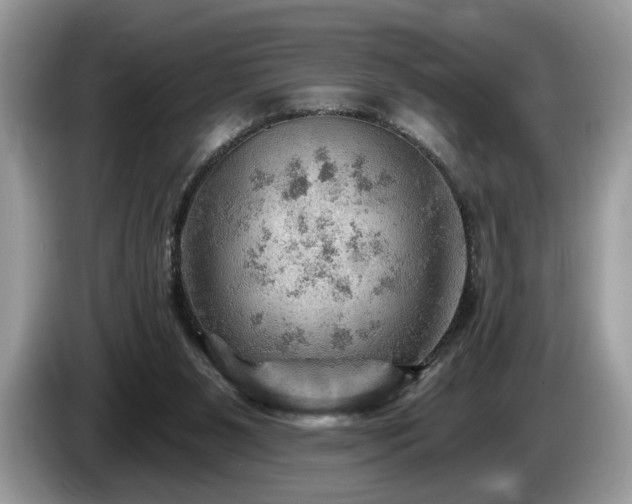 X0000087550111200704271215