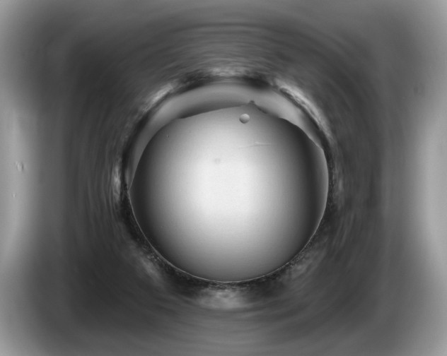 X0000087550113200704271215