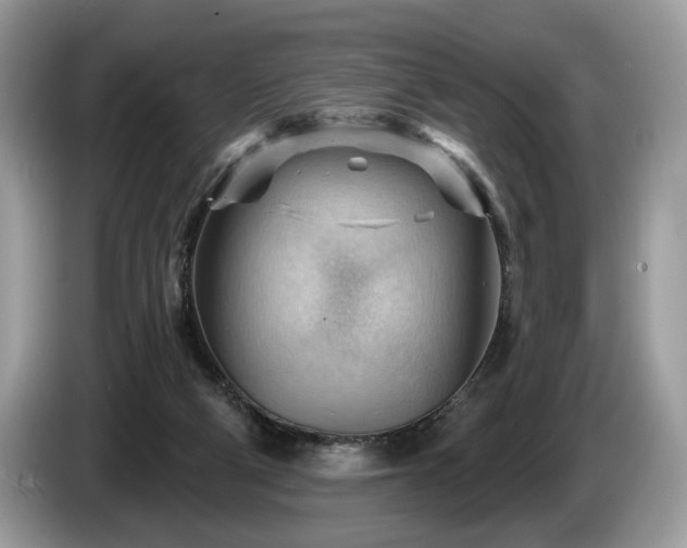 X0000087550114200704271215