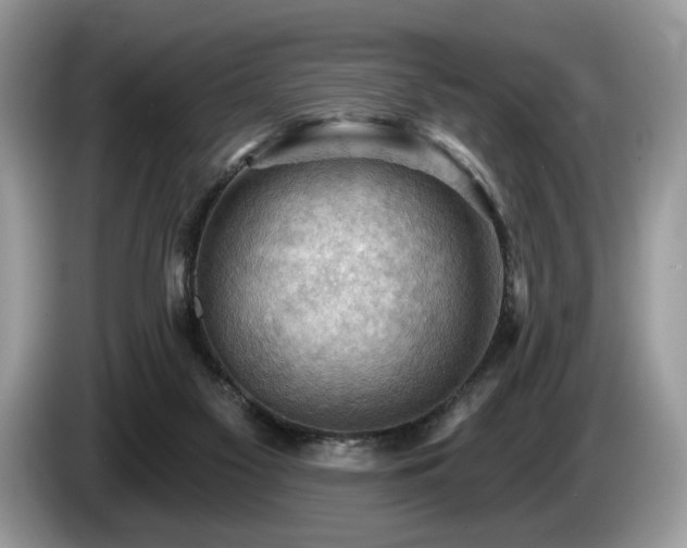 X0000087550117200704271215