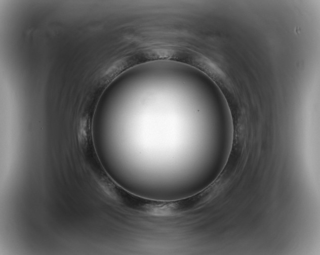 X0000087550122200704271215