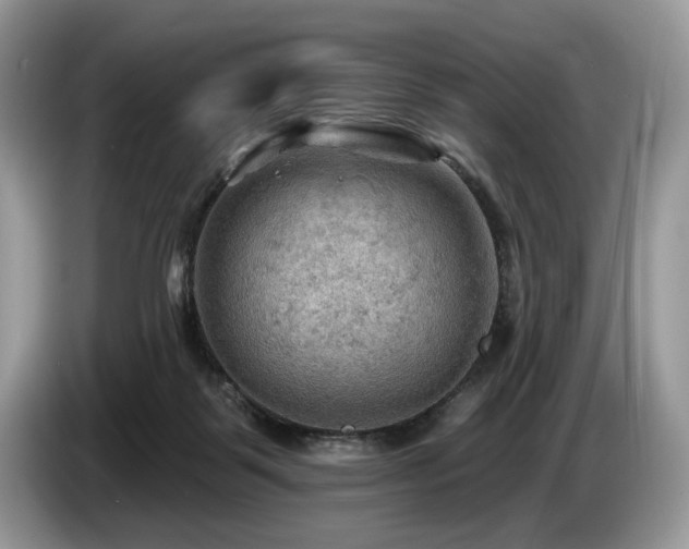 X0000087550123200704271215