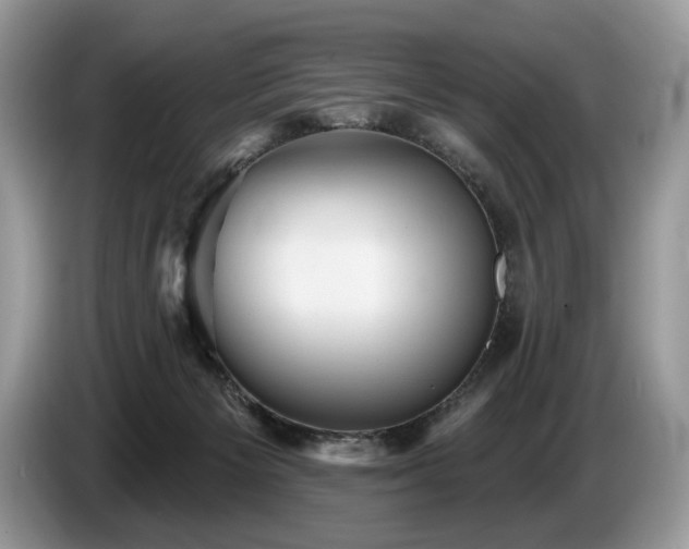 X0000087550125200704271215