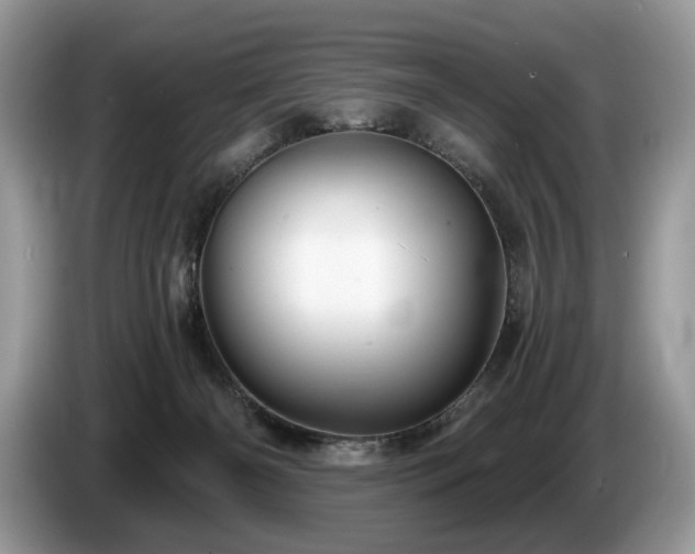 X0000087550126200704271215