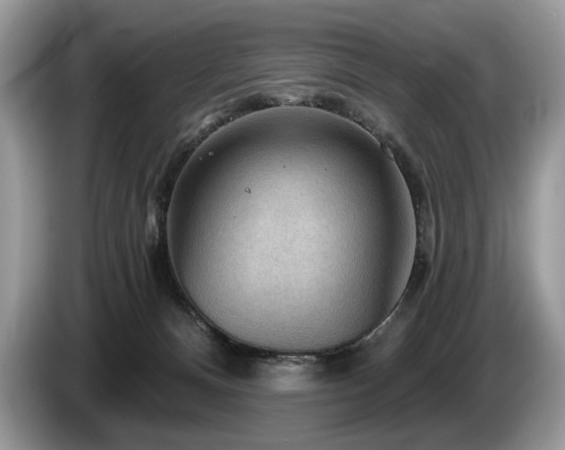 X0000087550128200704271215