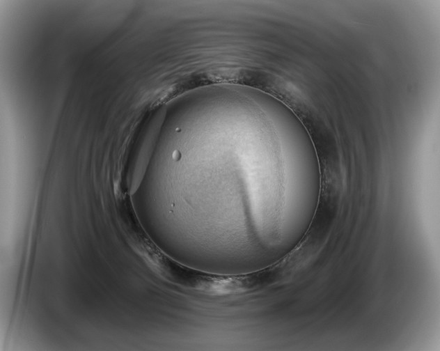 X0000087550130200704271215