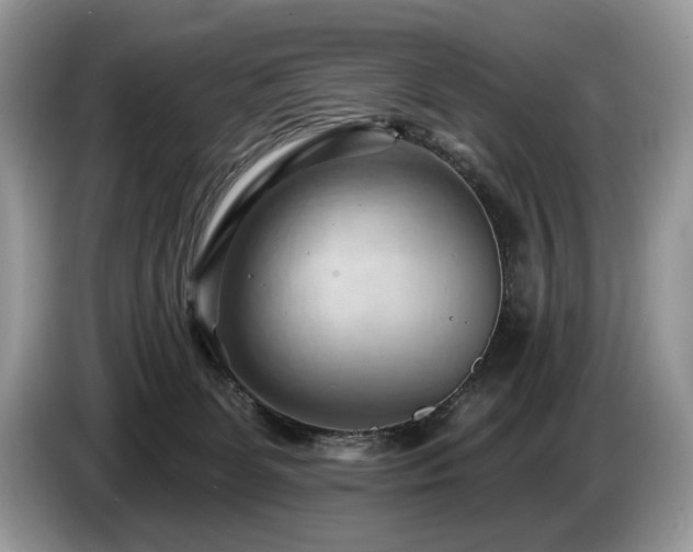 X0000087550131200704271215