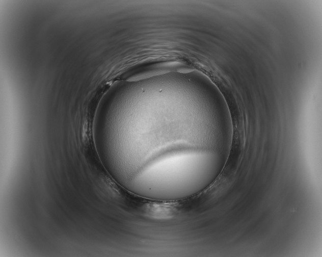 X0000087550134200704271215