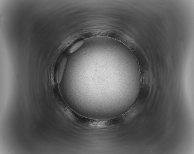 X0000087550138200704271215