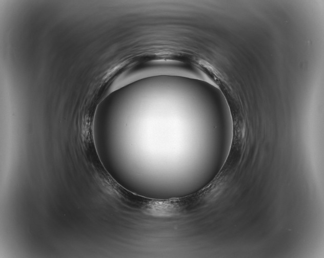 X0000087550141200704271215