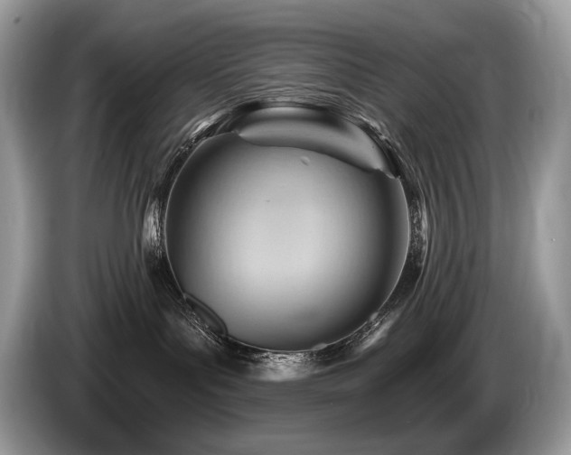 X0000087550143200704271215