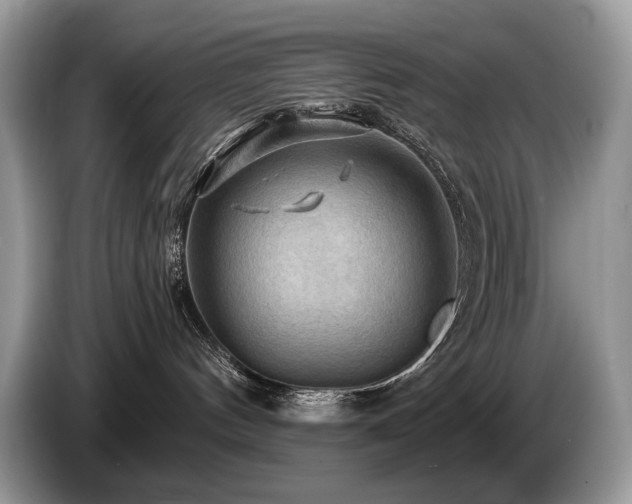 X0000087550144200704271215