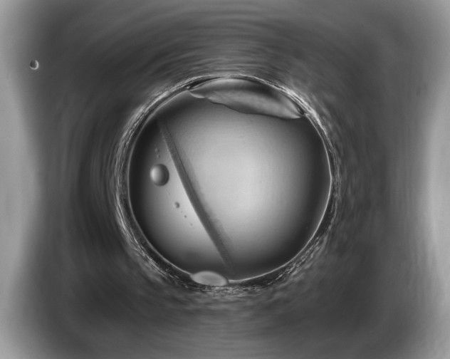 X0000087550145200704271214