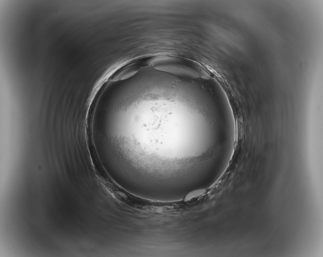 X0000087550147200704271214